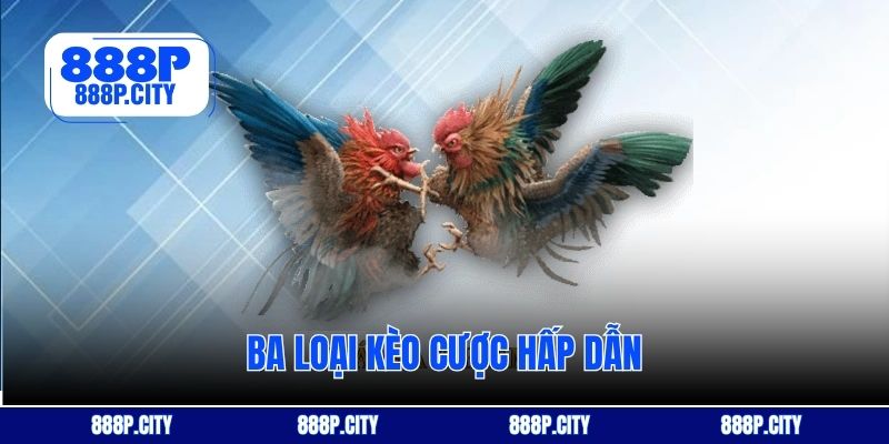 Ba loại kèo cược hấp dẫn