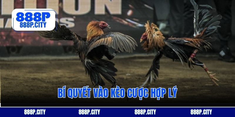 Bí quyết vào kèo cược hợp lý