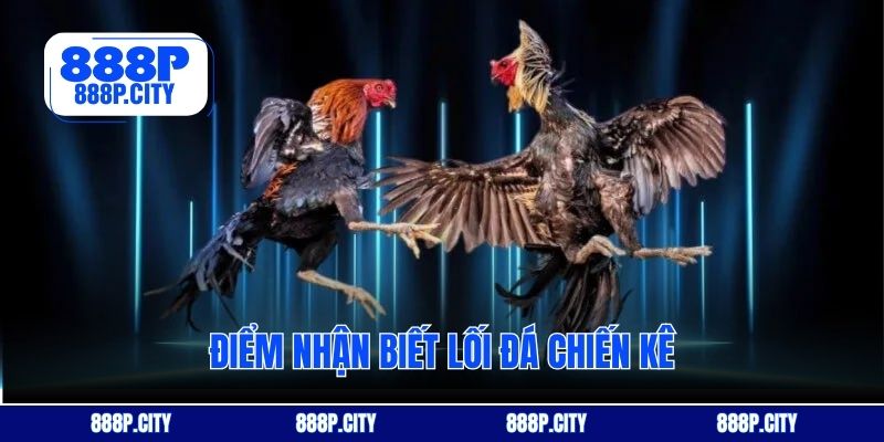 Điểm nhận biết lối đá chiến kê