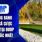 Kèo Đồng Banh Trong Cá Cược Bóng Đá 888P Chuẩn Xác Nhất