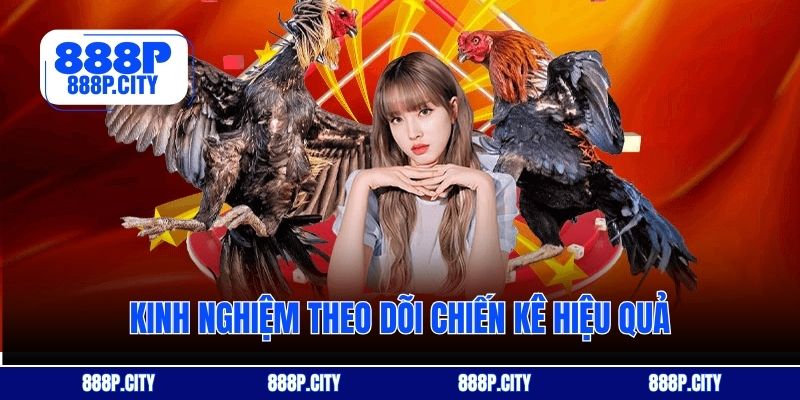 Kinh nghiệm theo dõi chiến kê hiệu quả