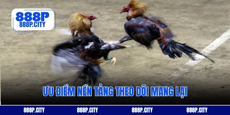 Ưu điểm nền tảng theo dõi mang lại